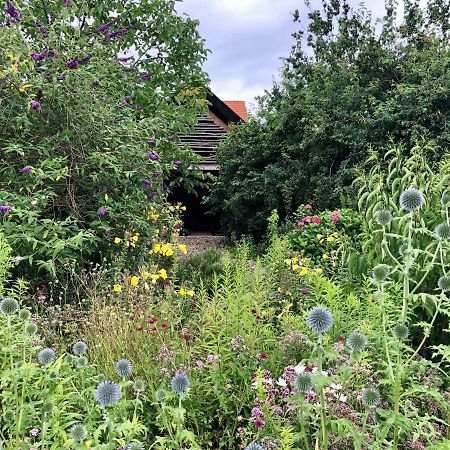 B&B Helena'S Hoeve Buggenum Kültér fotó