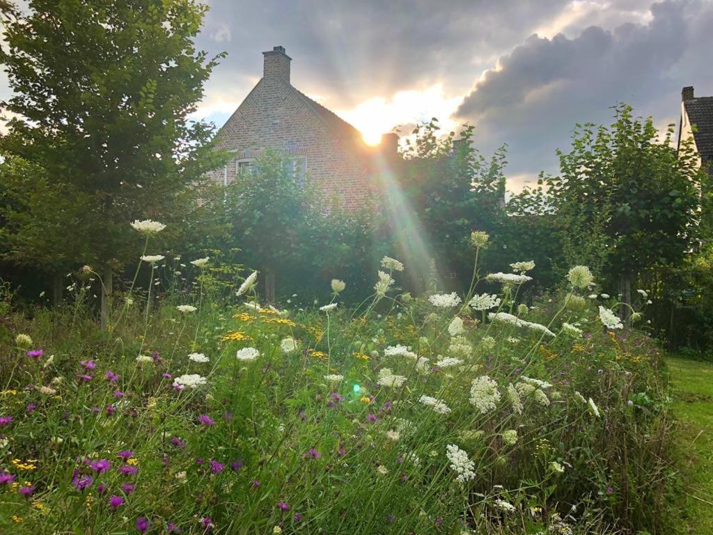 B&B Helena'S Hoeve Buggenum Kültér fotó