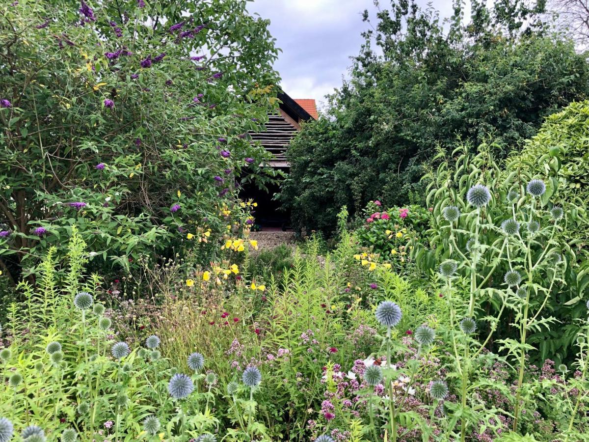 B&B Helena'S Hoeve Buggenum Kültér fotó